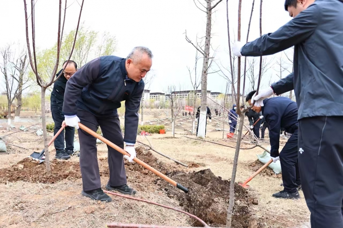 市领导参加全市义务植树活动