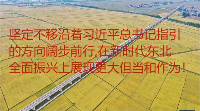 坚定不移 