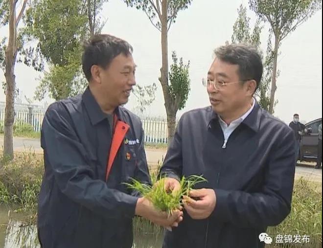 张成中调研我市水田插秧进展情况