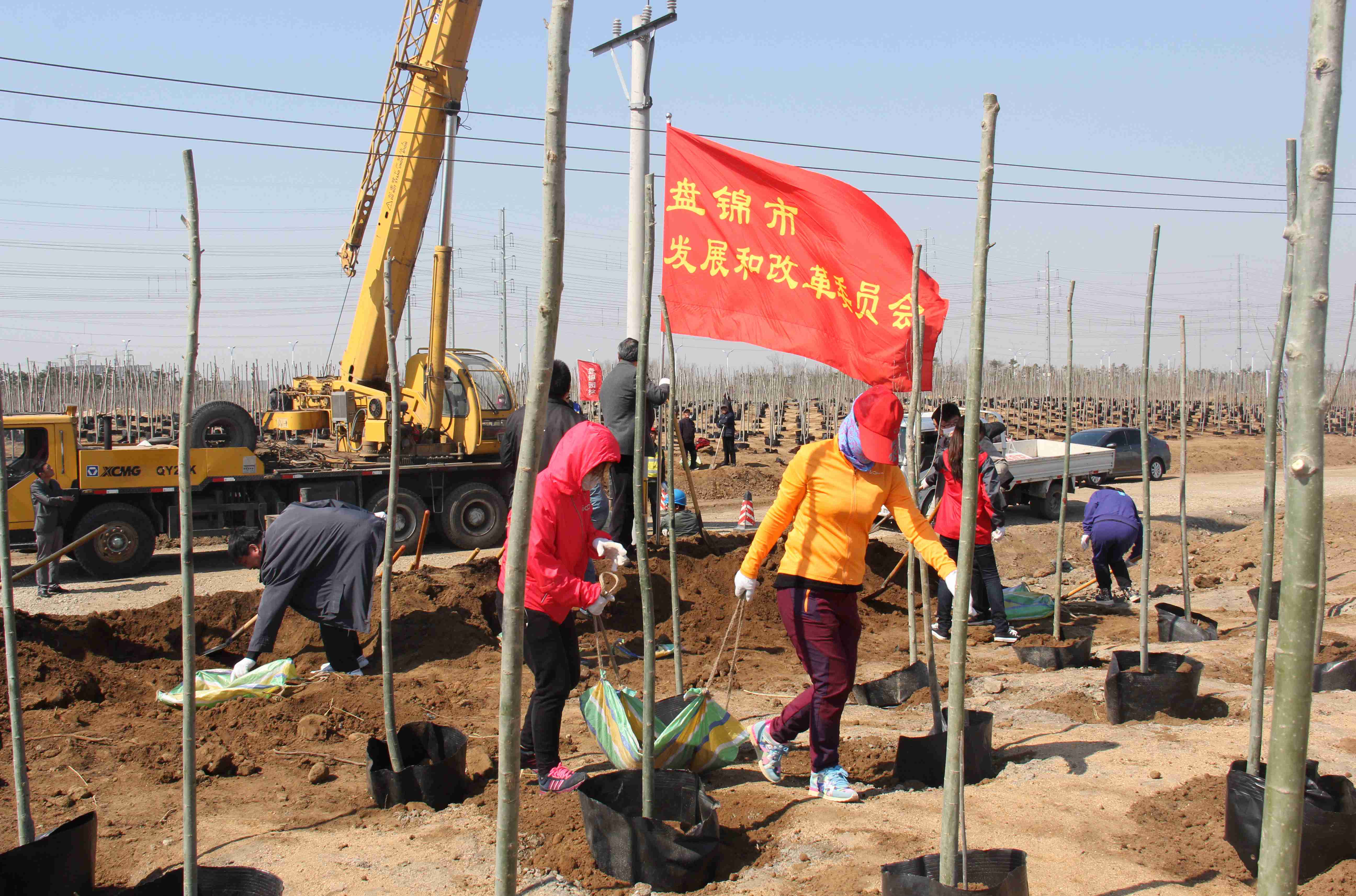 市发改委党员干部到辽东湾新区义务植树